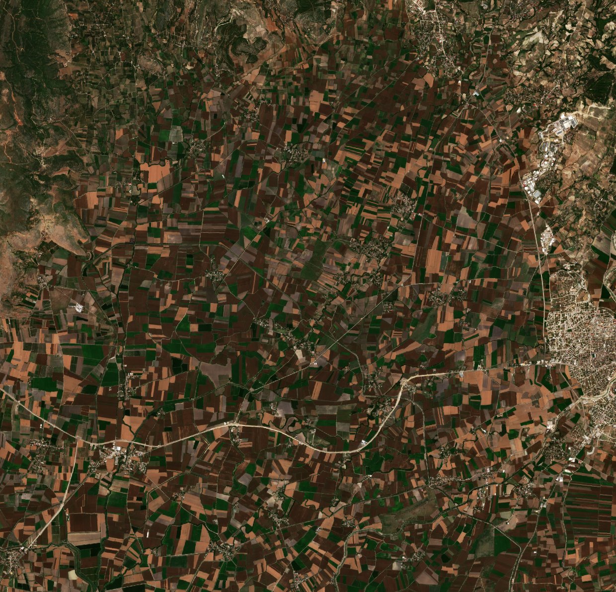 The area before the fire, August 22, 2026