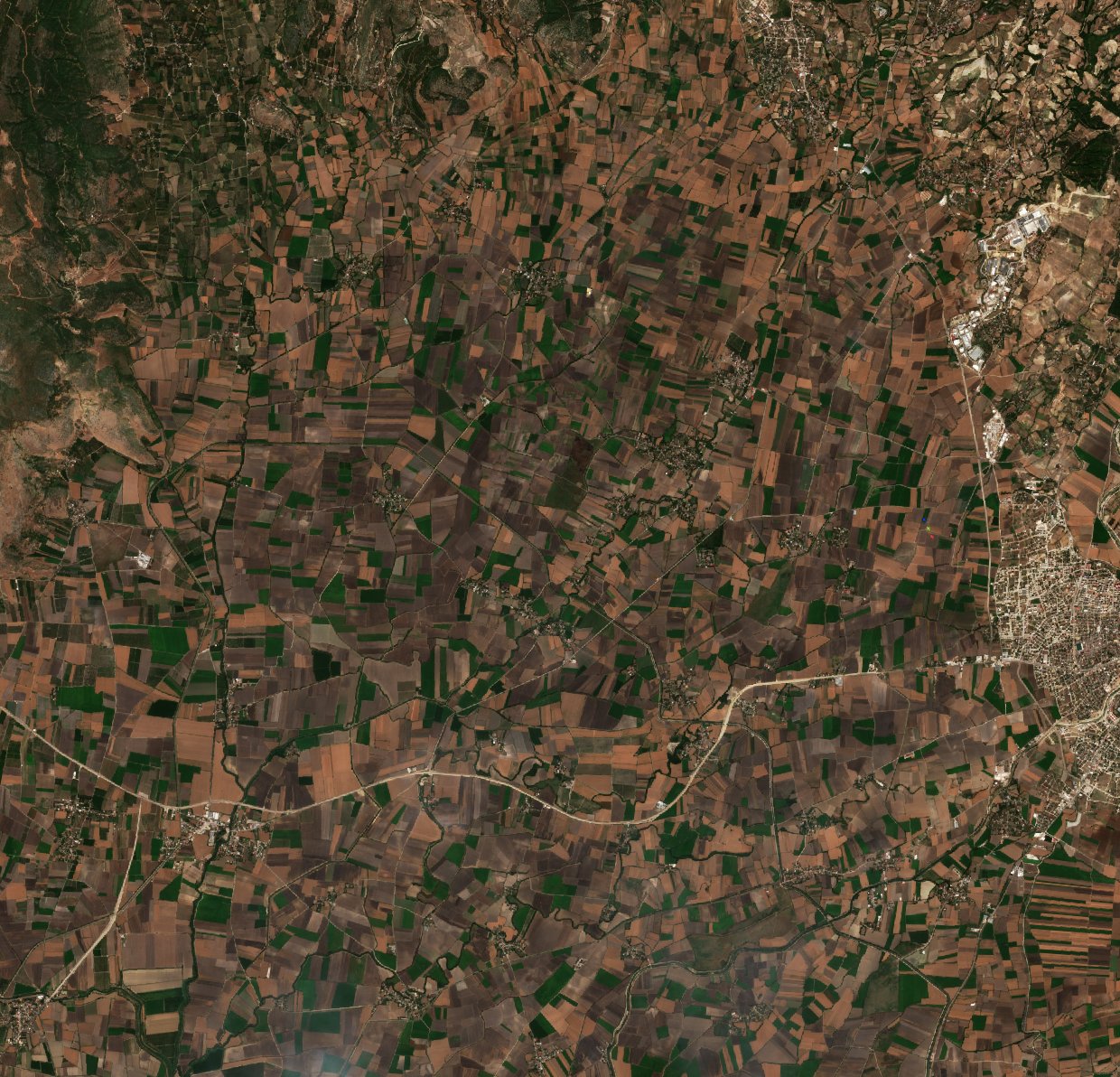The area after the fire, September 11, 2026