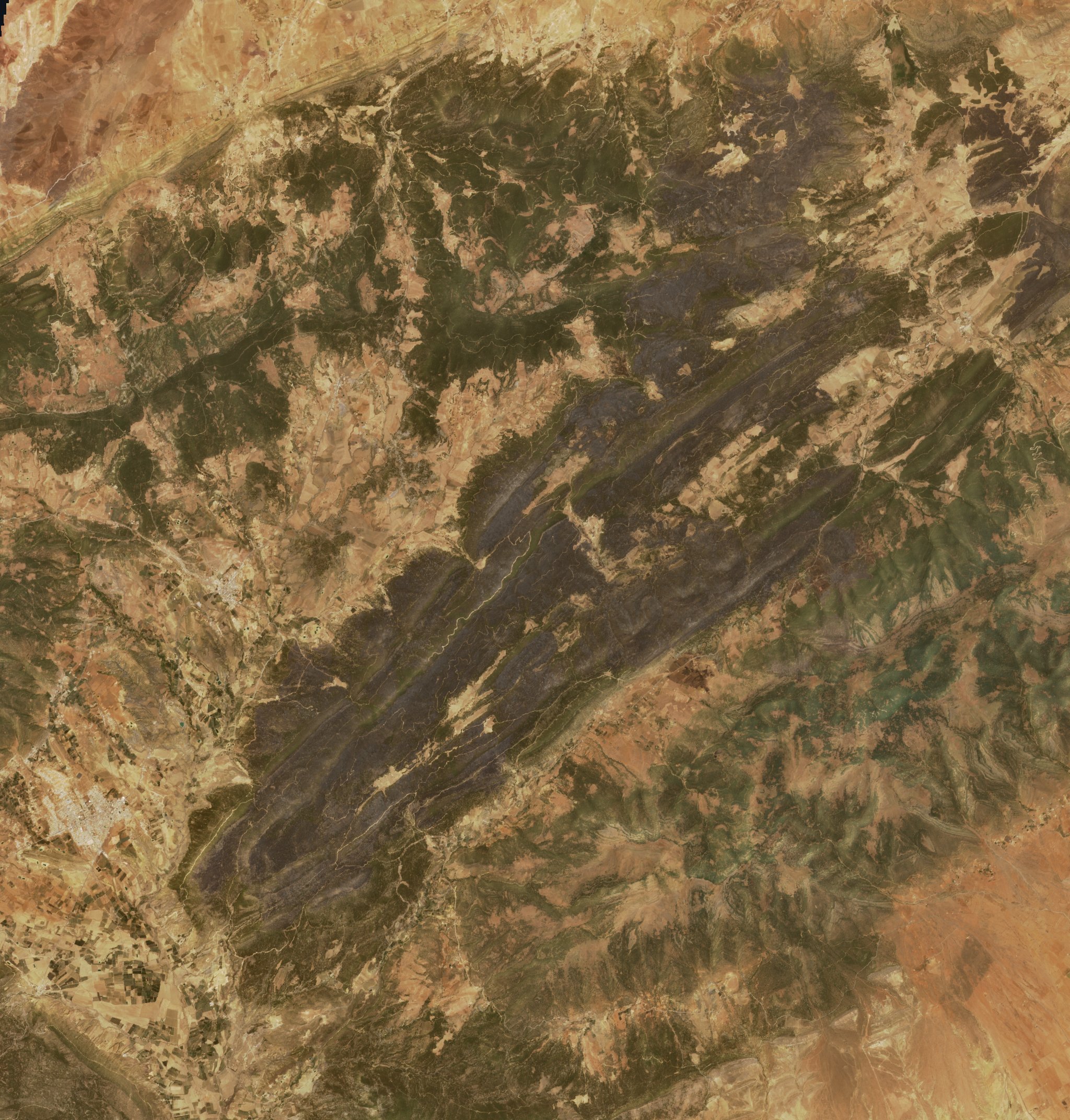 The area after the fire, July 12, 2021