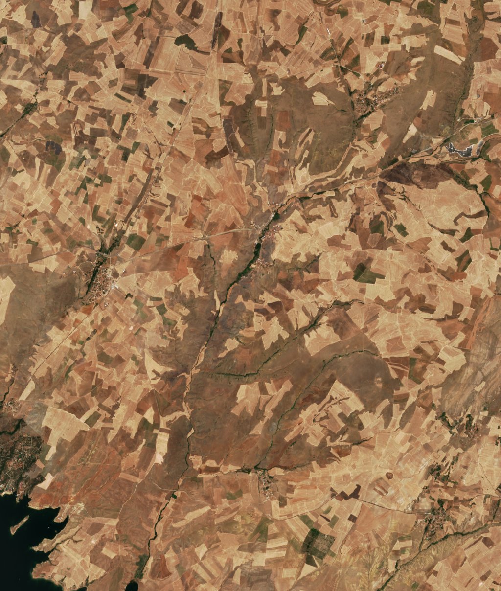 Sentinel-2 images