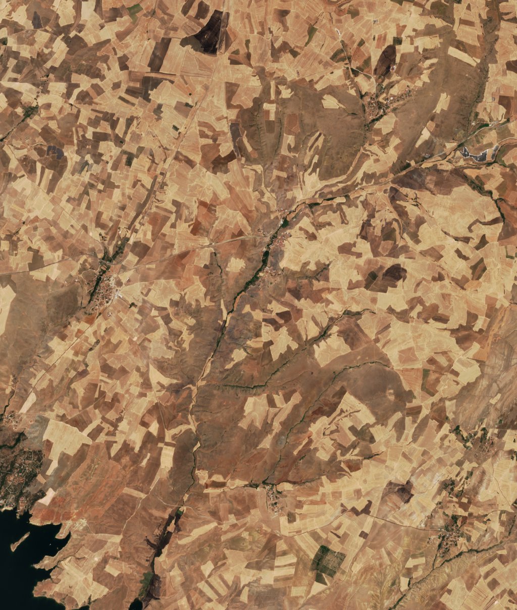 The area before the fire, August 20, 2026