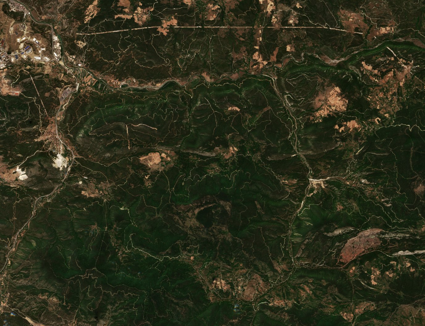 The area before the fire, July 14, 2025