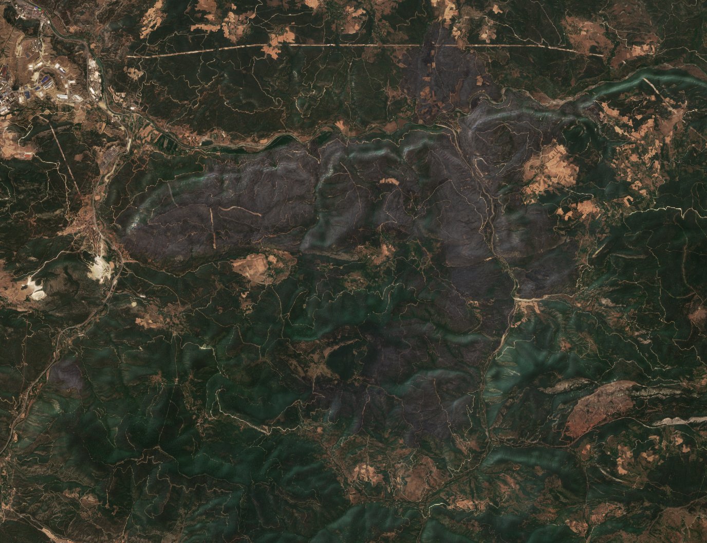 The area after the fire, July 29, 2025