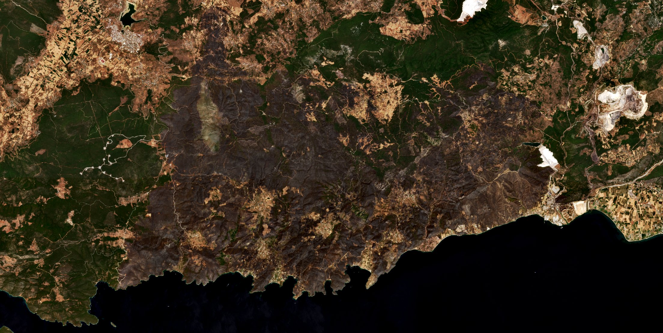 The area after the fire, August 12, 2021