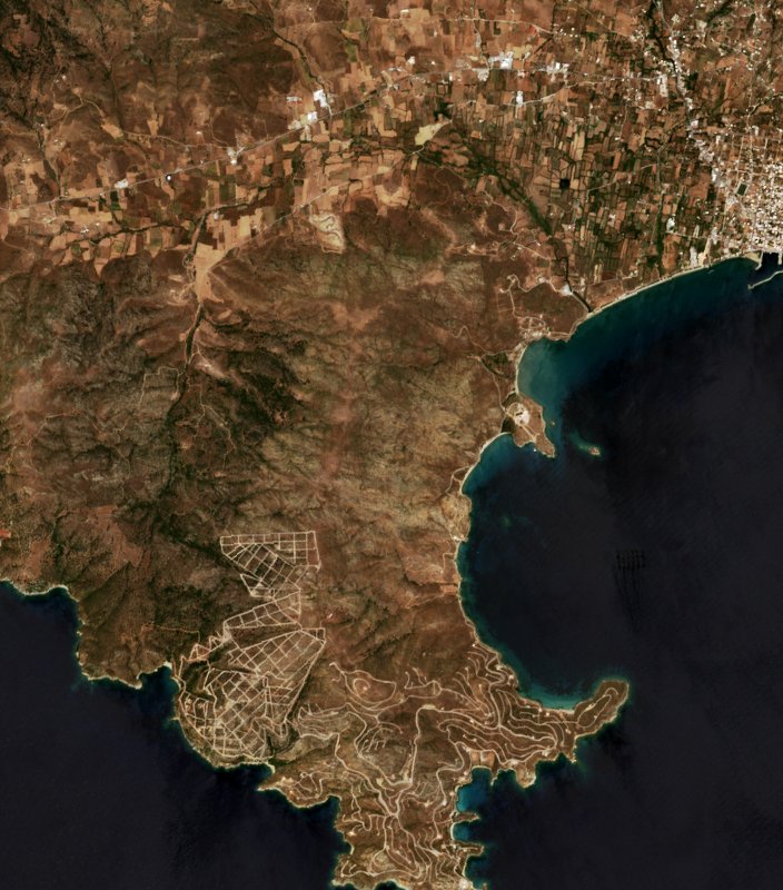 Sentinel-2 images