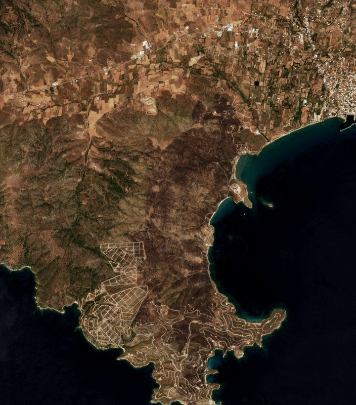 The area after the fire, September 6, 2026