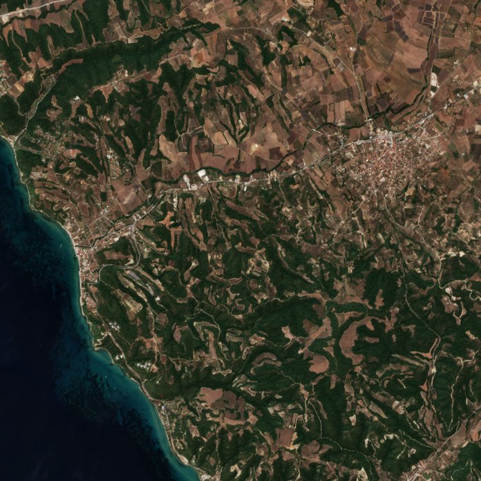 The area before the fire, August 12, 2026