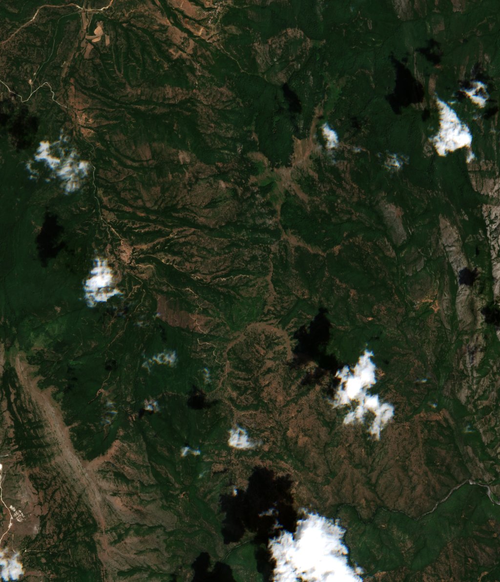 Sentinel-2 images