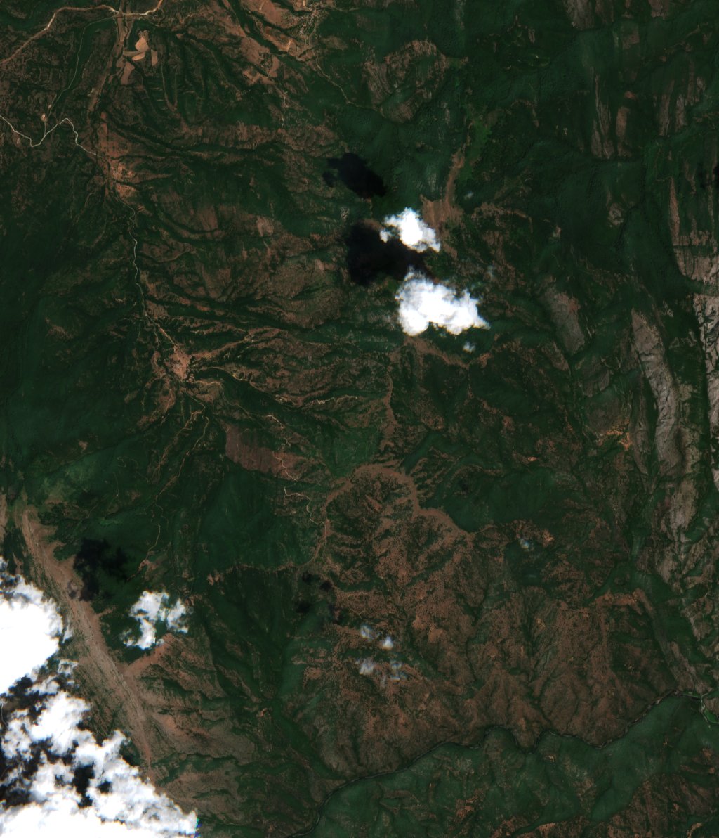 The area before the fire, July 14, 2025