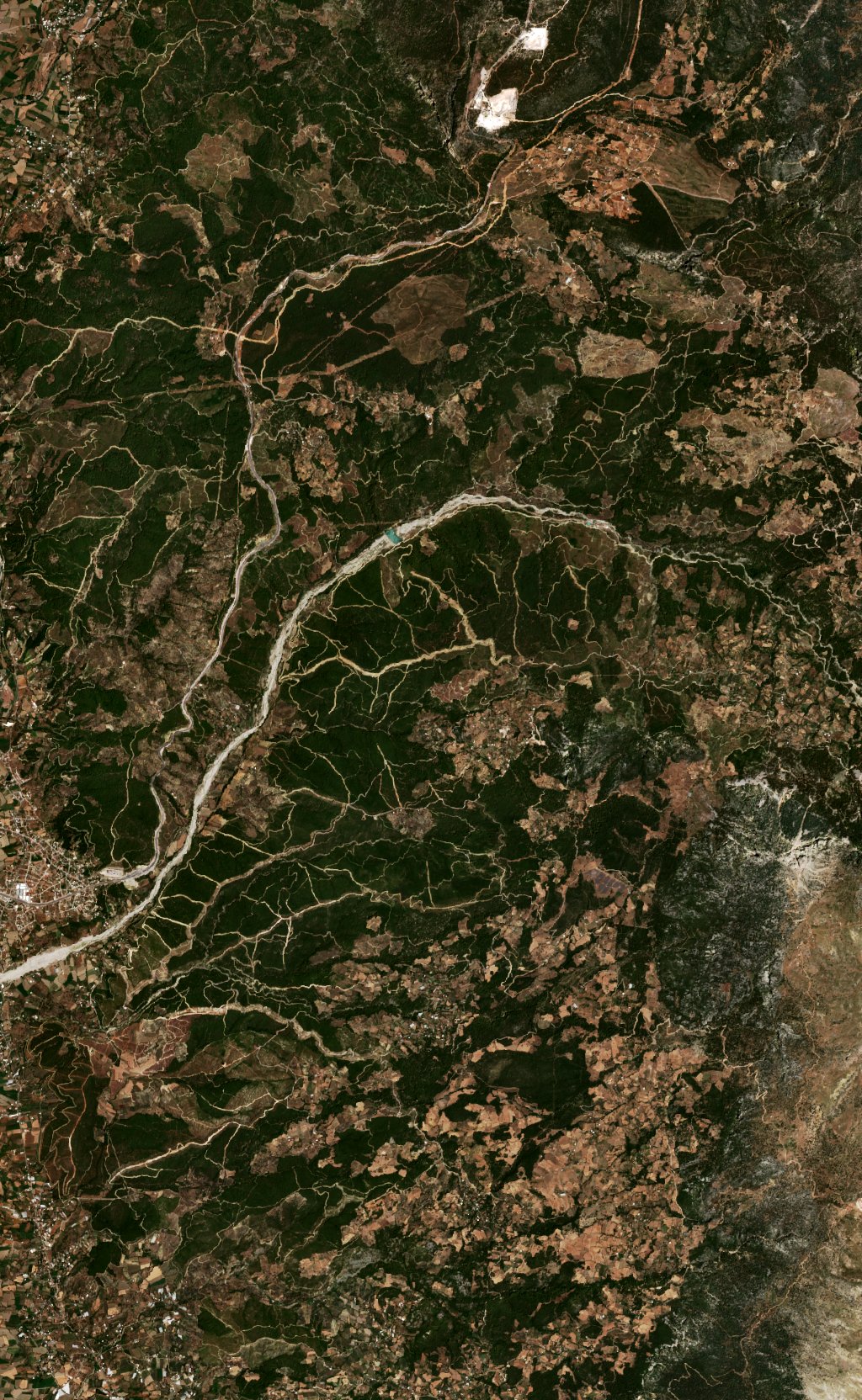 Sentinel-2 images