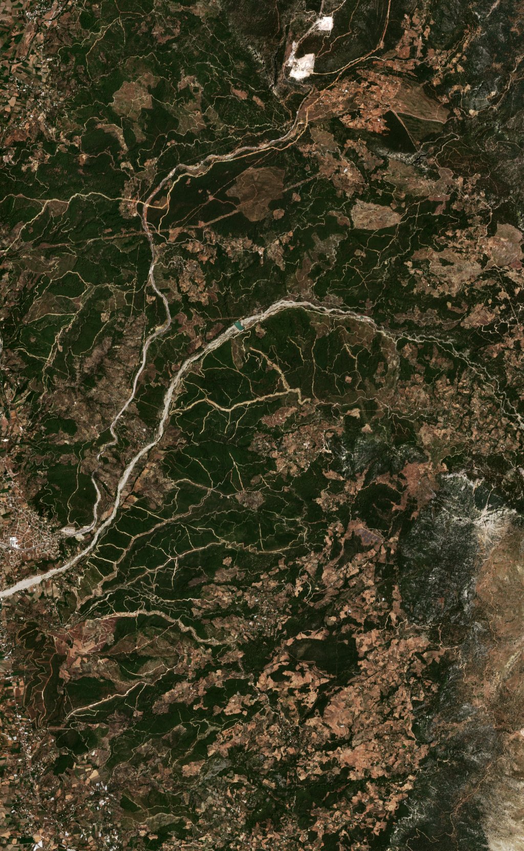 The area before the fire, July 27, 2026