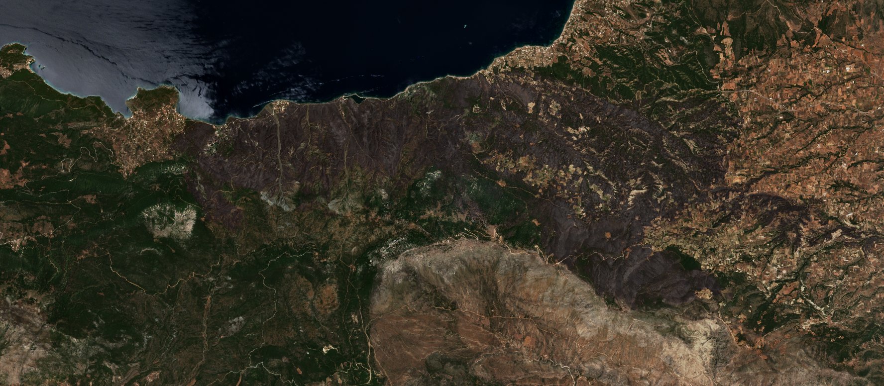 The area after the fire, May 23, 2021