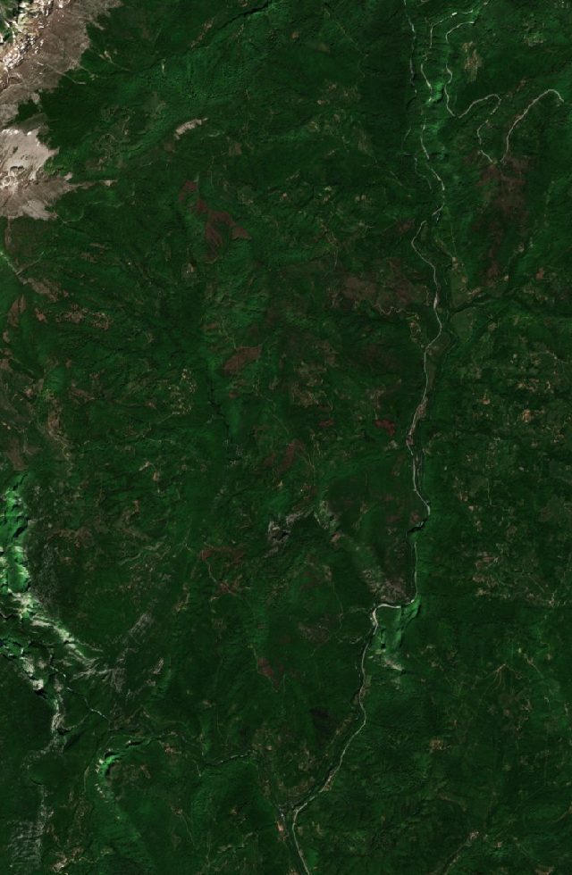 Burned area near Danilovgrad from space