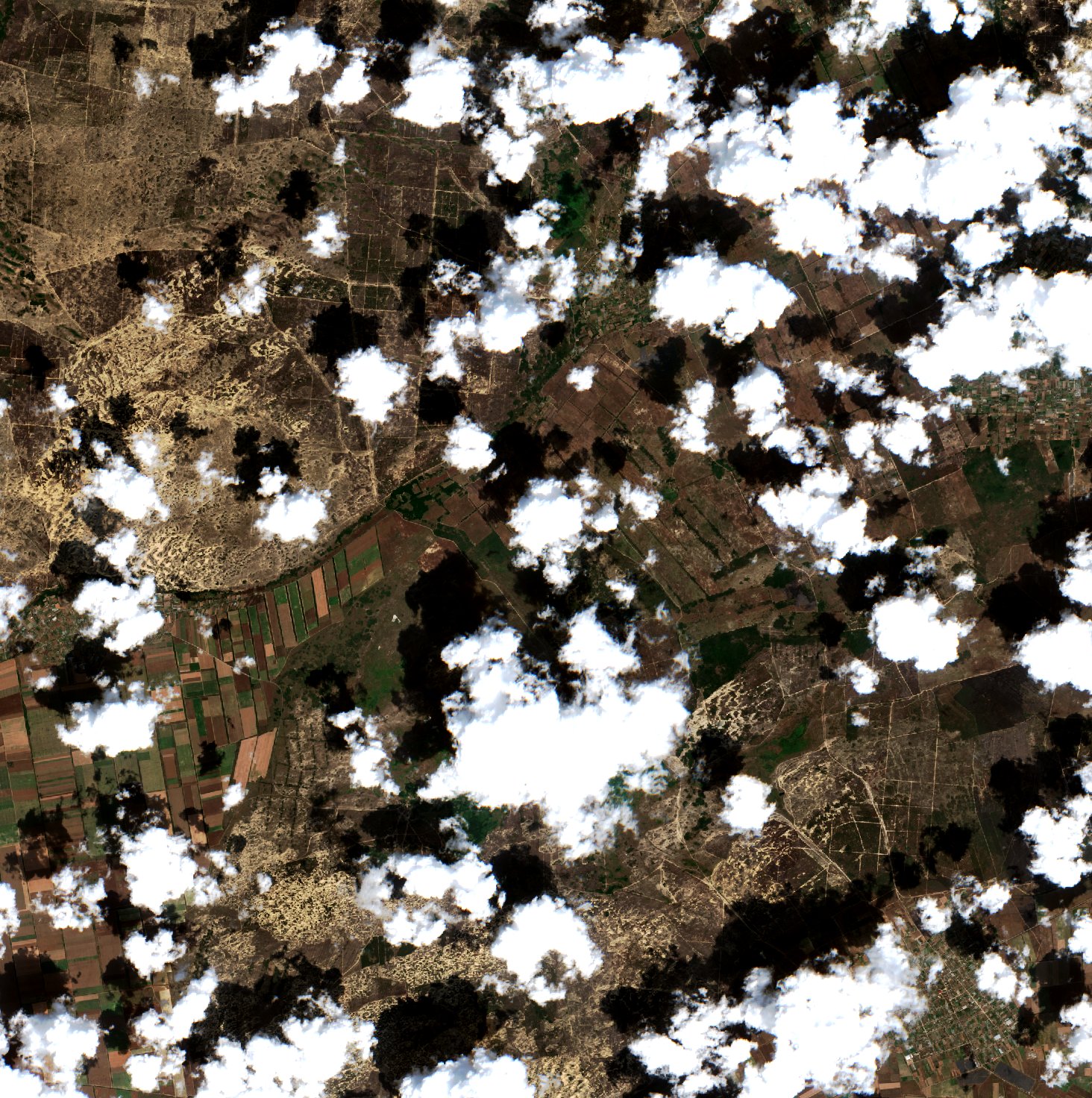Sentinel-2 images