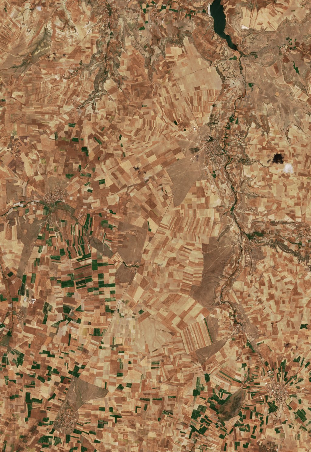 Sentinel-2 images