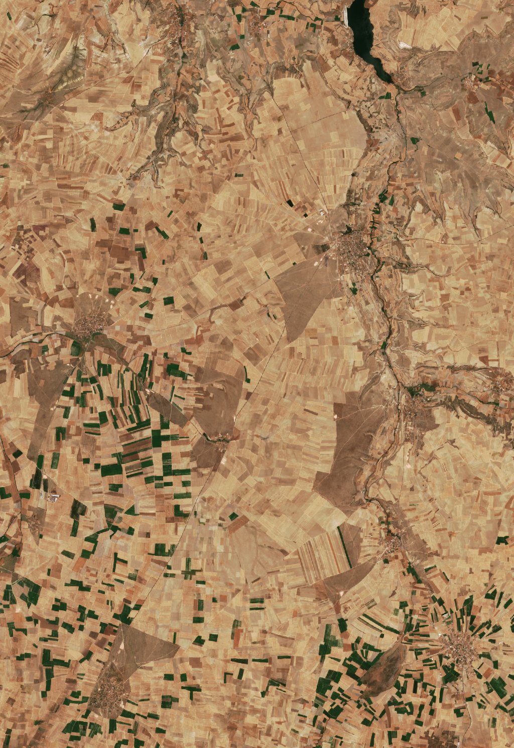 The area before the fire, July 28, 2026