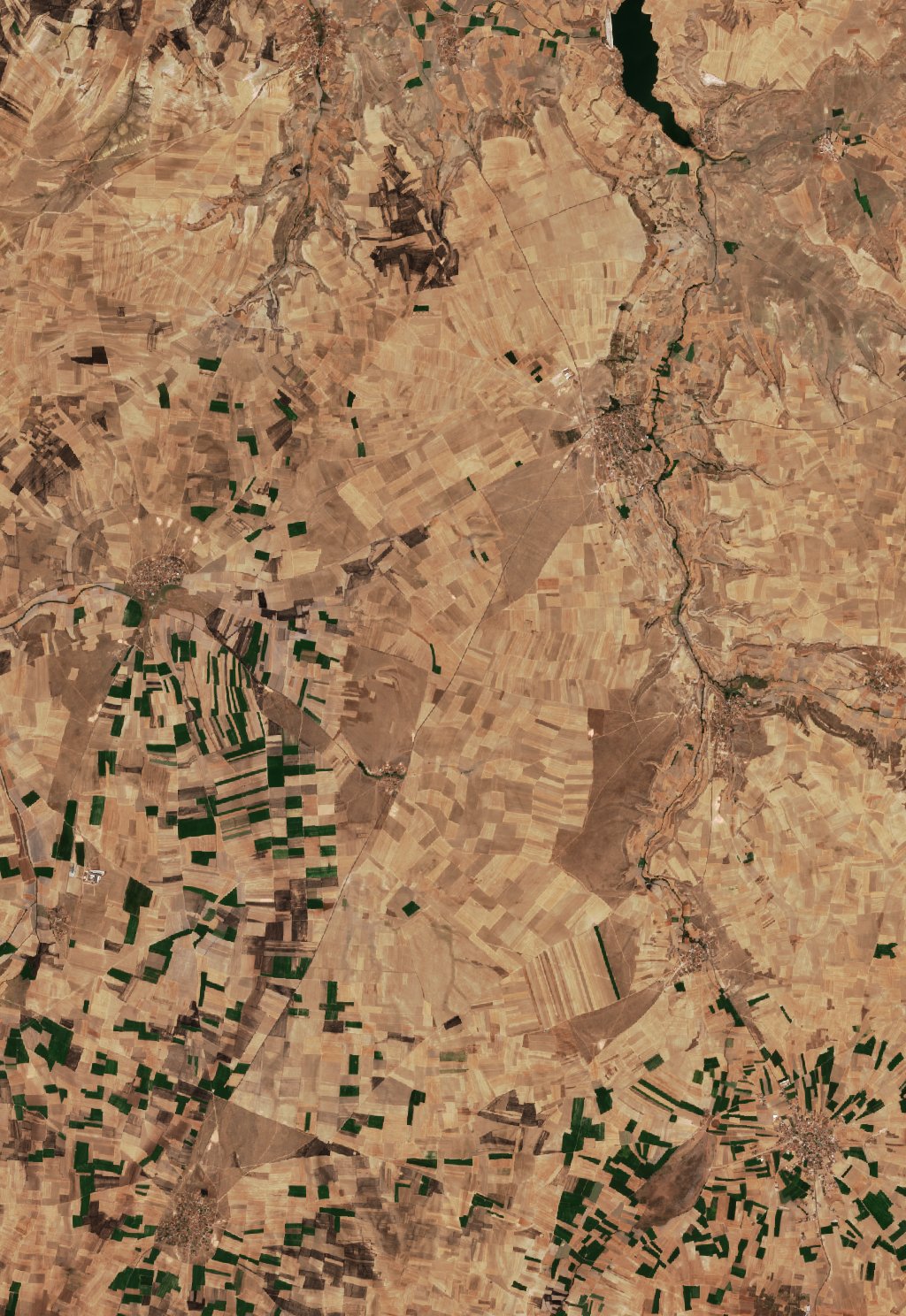 The area after the fire, September 9, 2026
