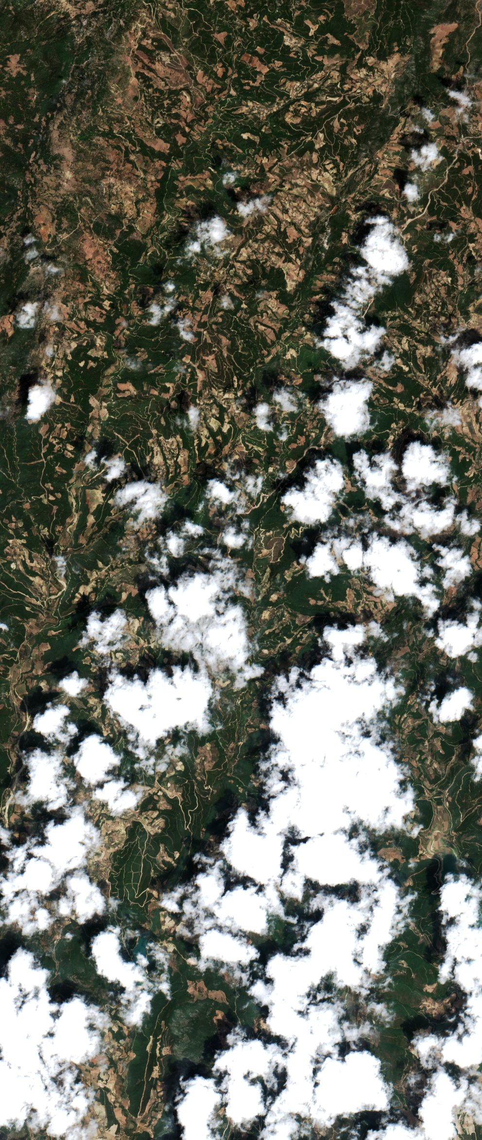 Sentinel-2 images