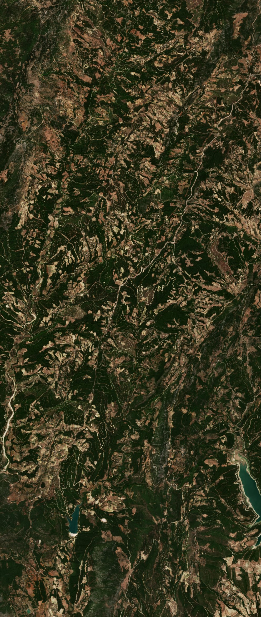 The area before the fire, August 13, 2020