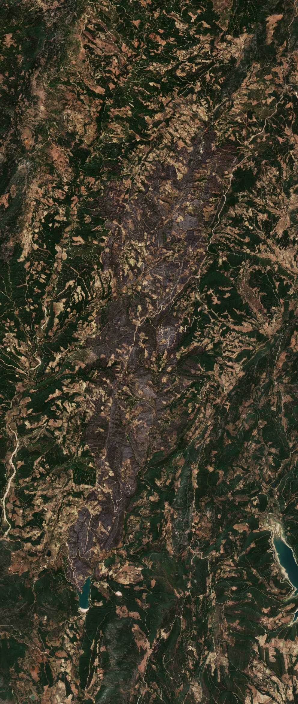 The area after the fire, August 28, 2020