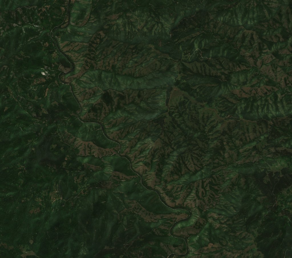 The area before the fire, July 26, 2026