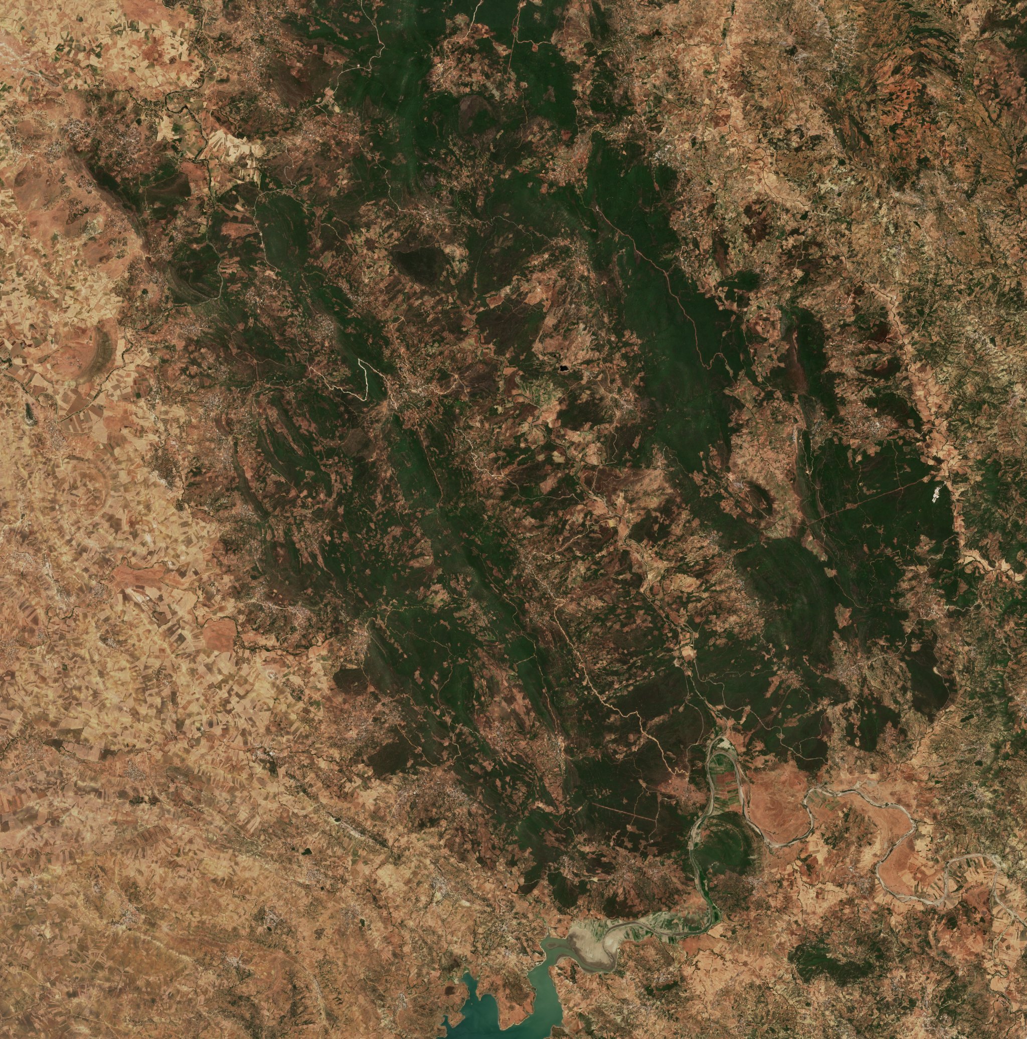 The area before the fire, July 7, 2022