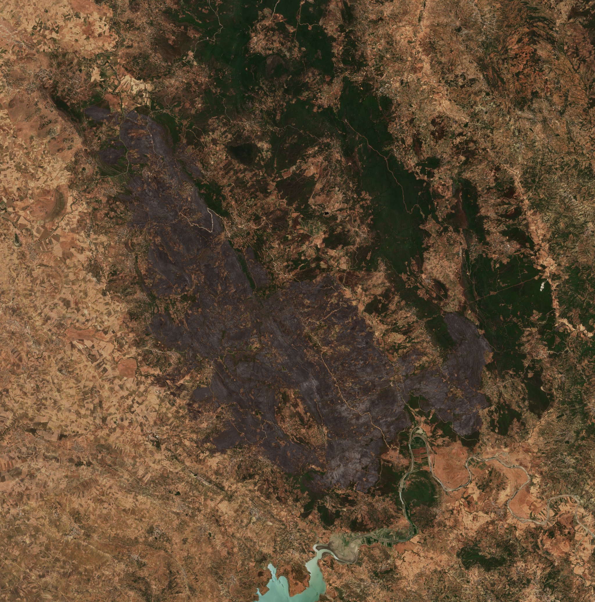 The area after the fire, July 20, 2022