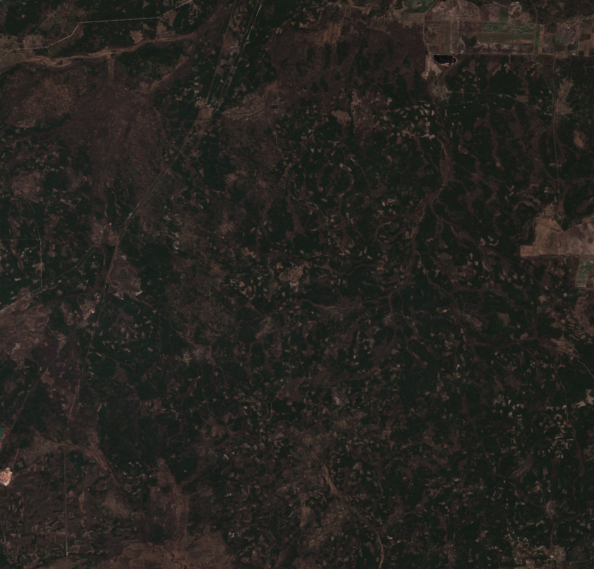 The area before the fire, March 26, 2020