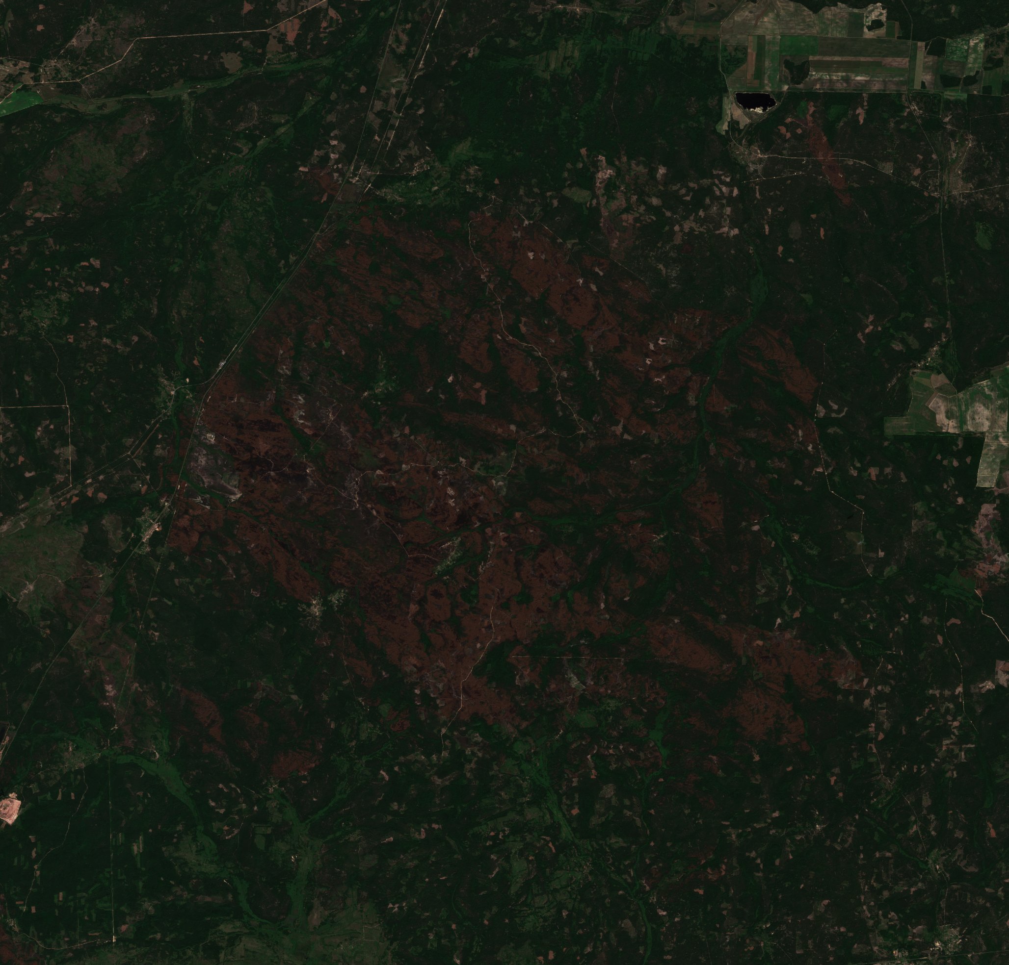 The area after the fire, June 24, 2020