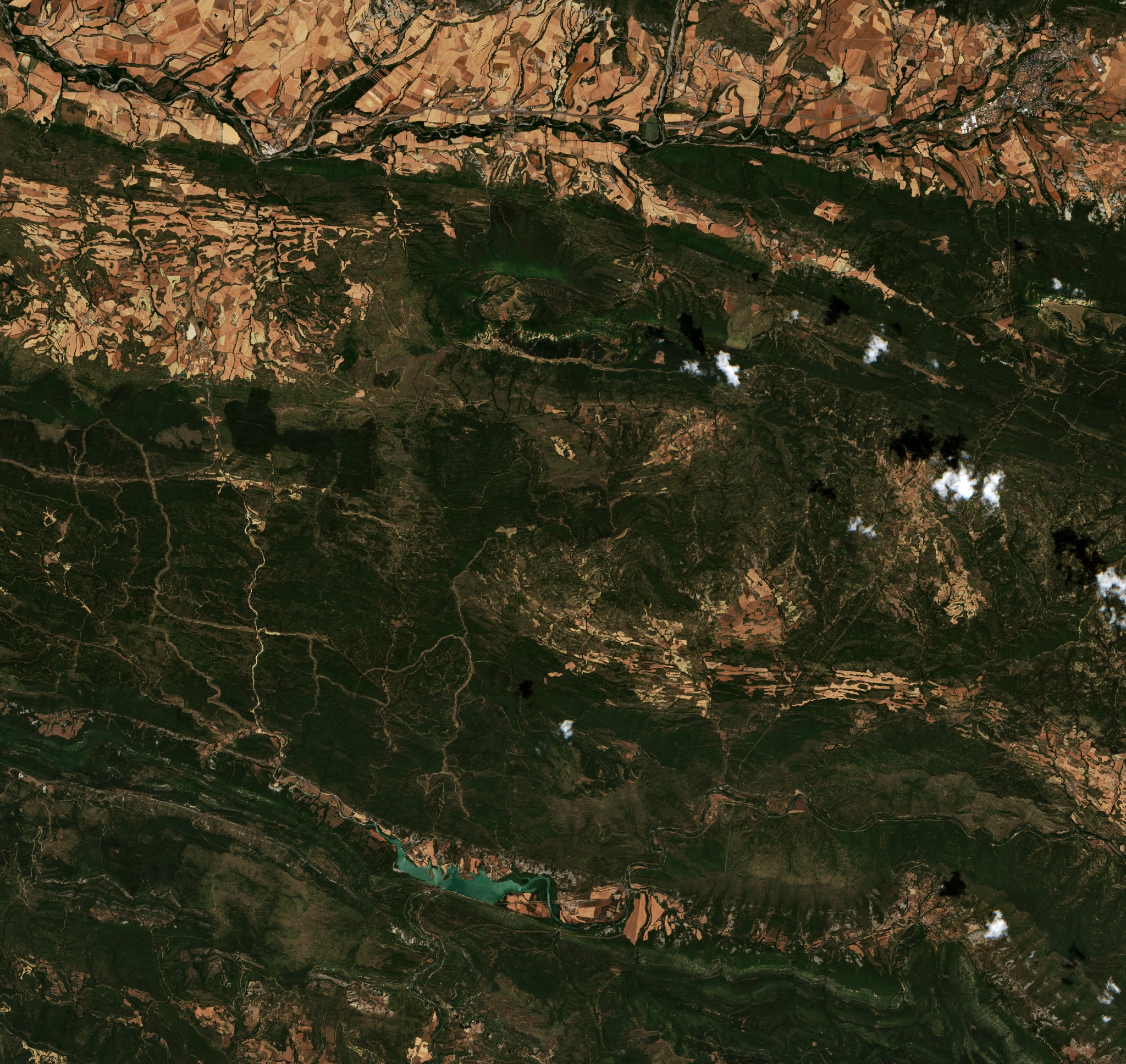 Sentinel-2 images