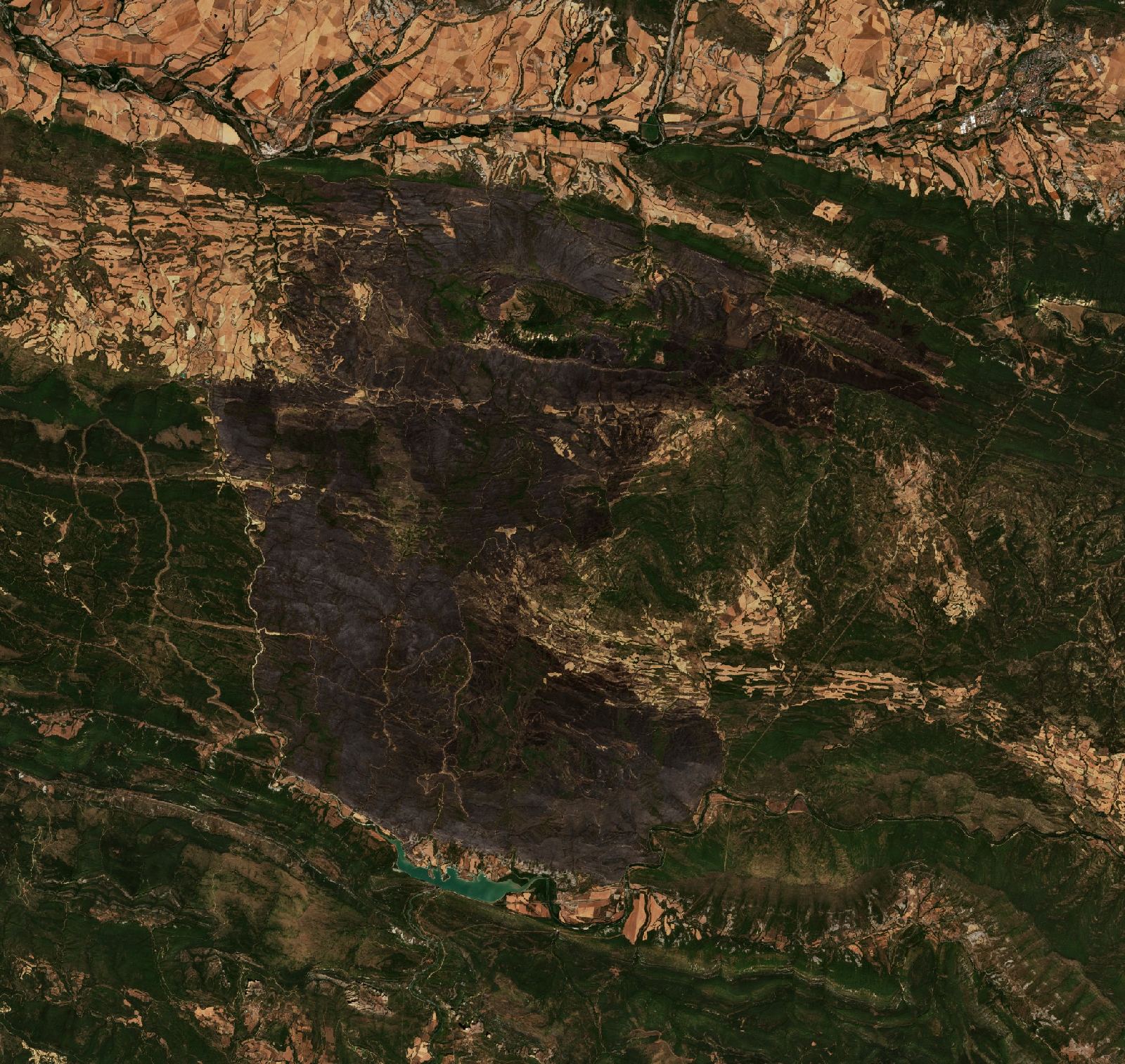 The area after the fire, August 19, 2026