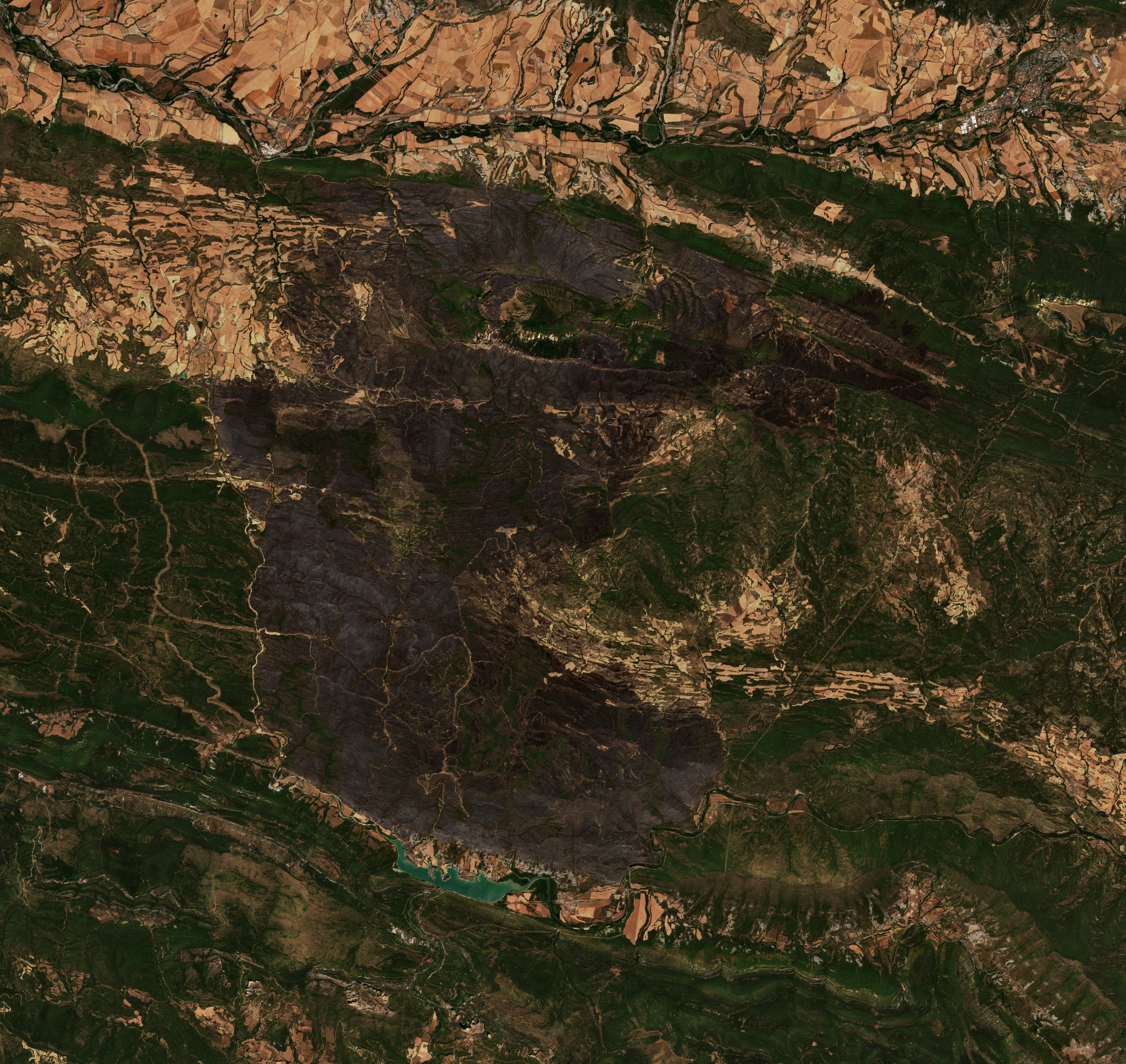The area after the fire, August 19, 2026