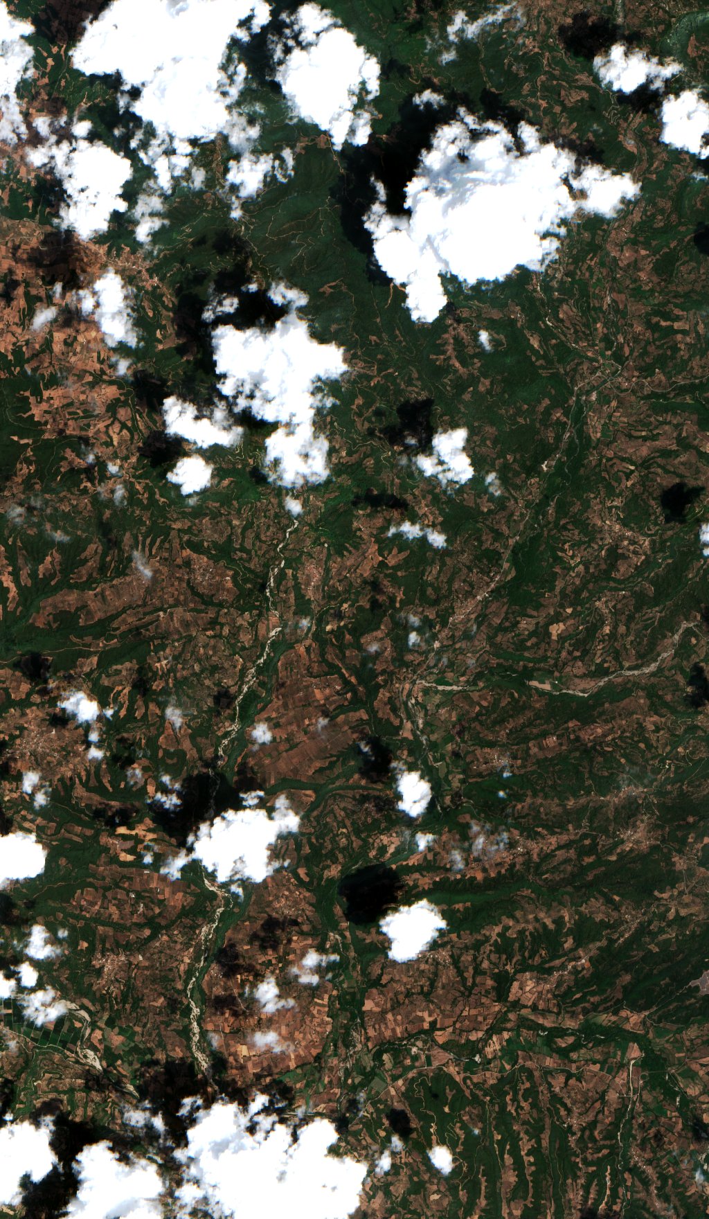 Sentinel-2 images