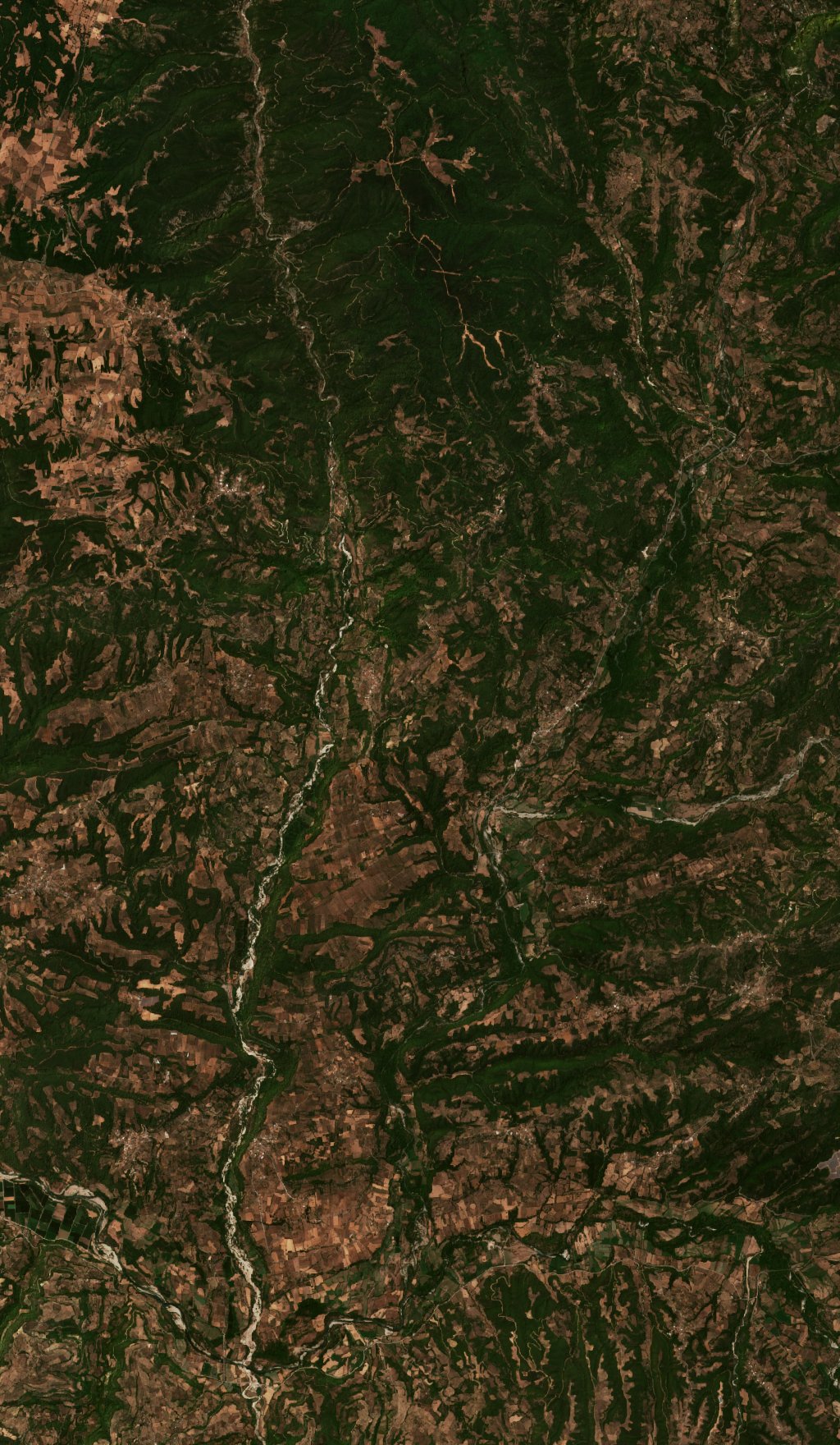 The area before the fire, July 27, 2021