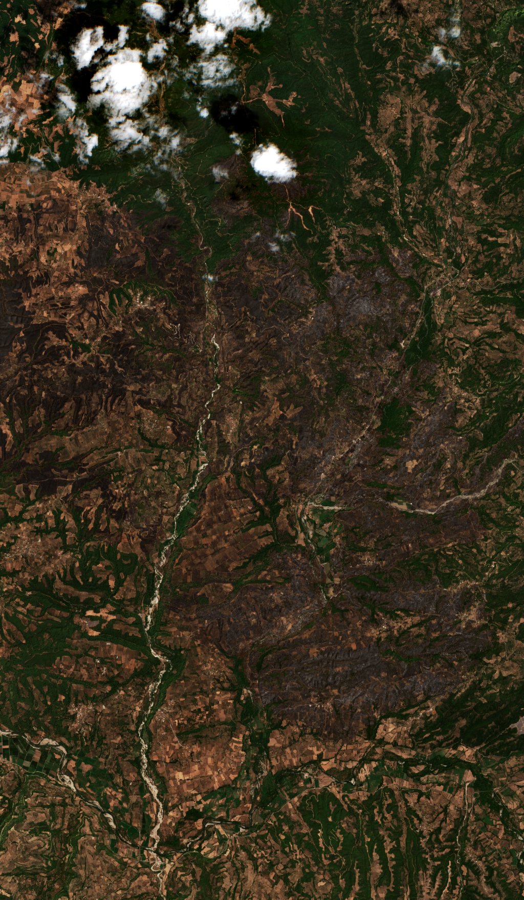 The area after the fire, August 16, 2021