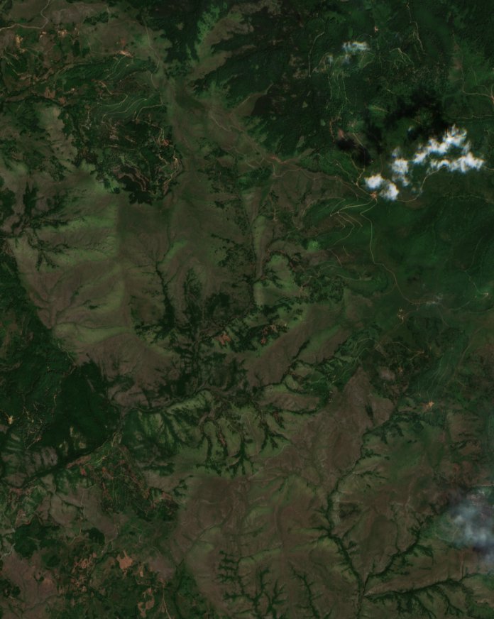 Sentinel-2 images