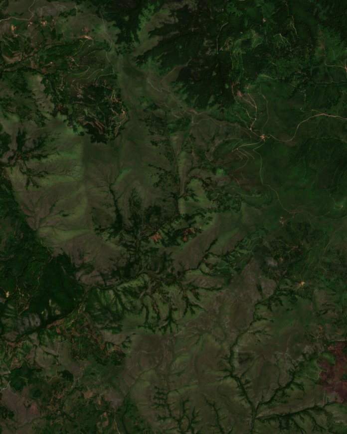 The area before the fire, July 25, 2021