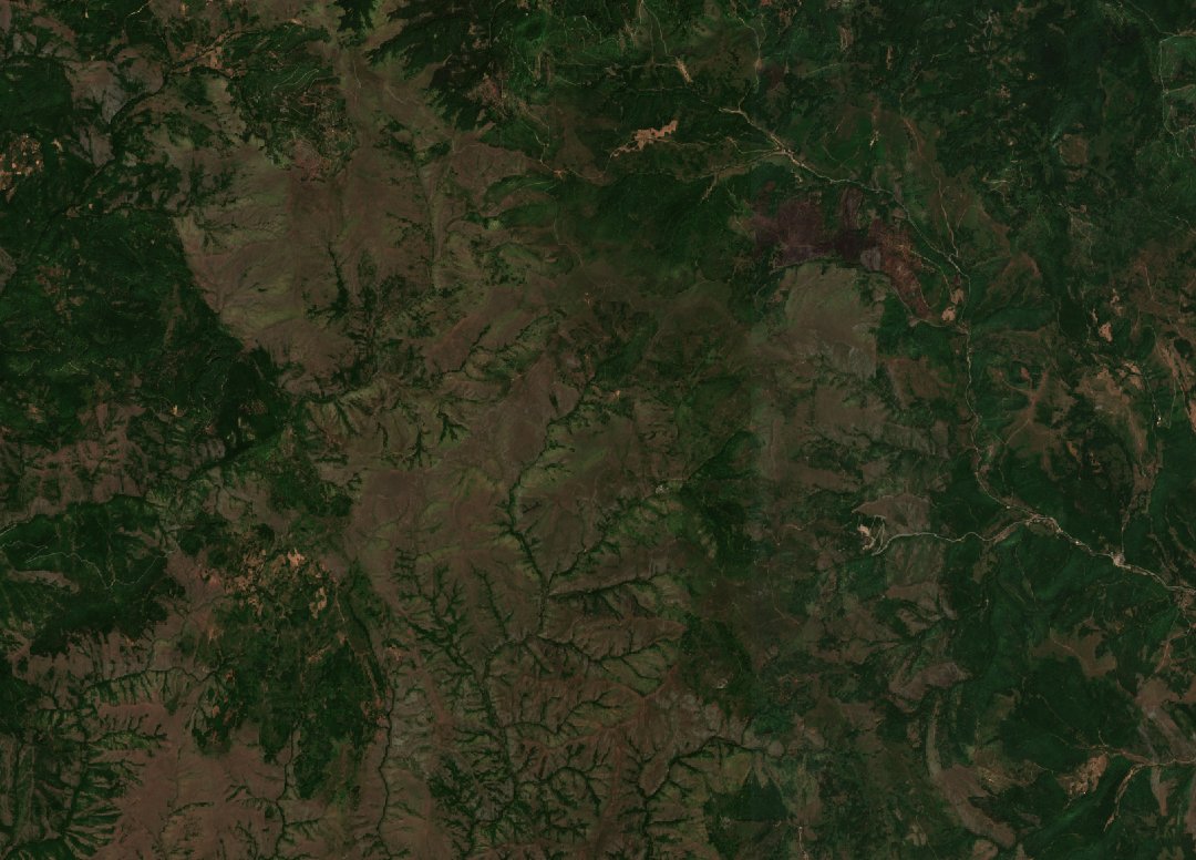 The area before the fire, July 21, 2025