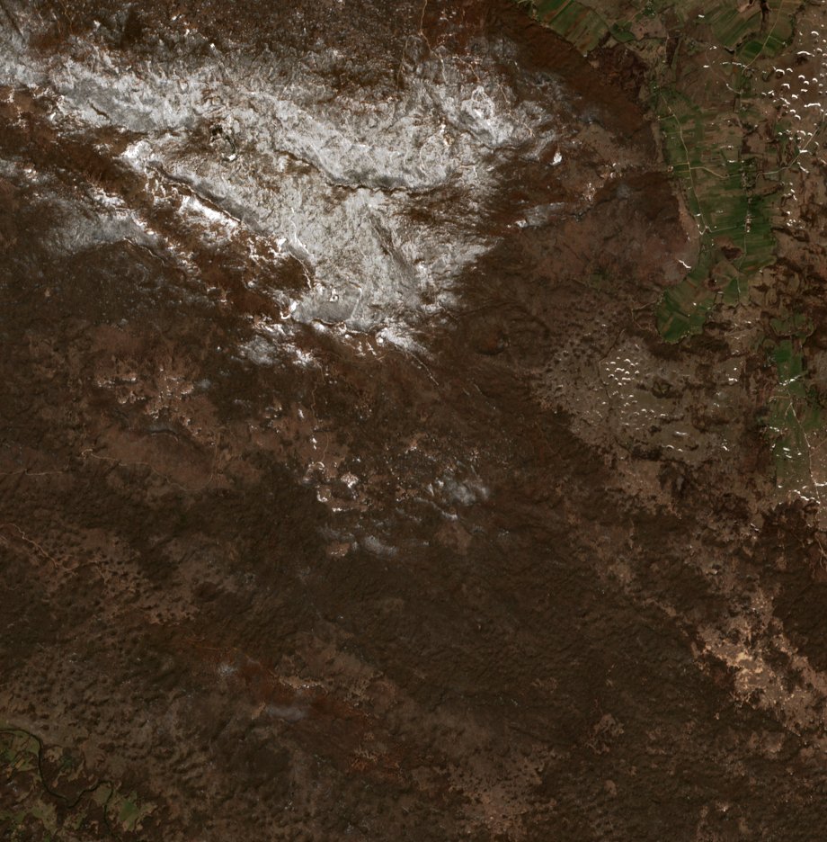 The area before the fire, April 2, 2020