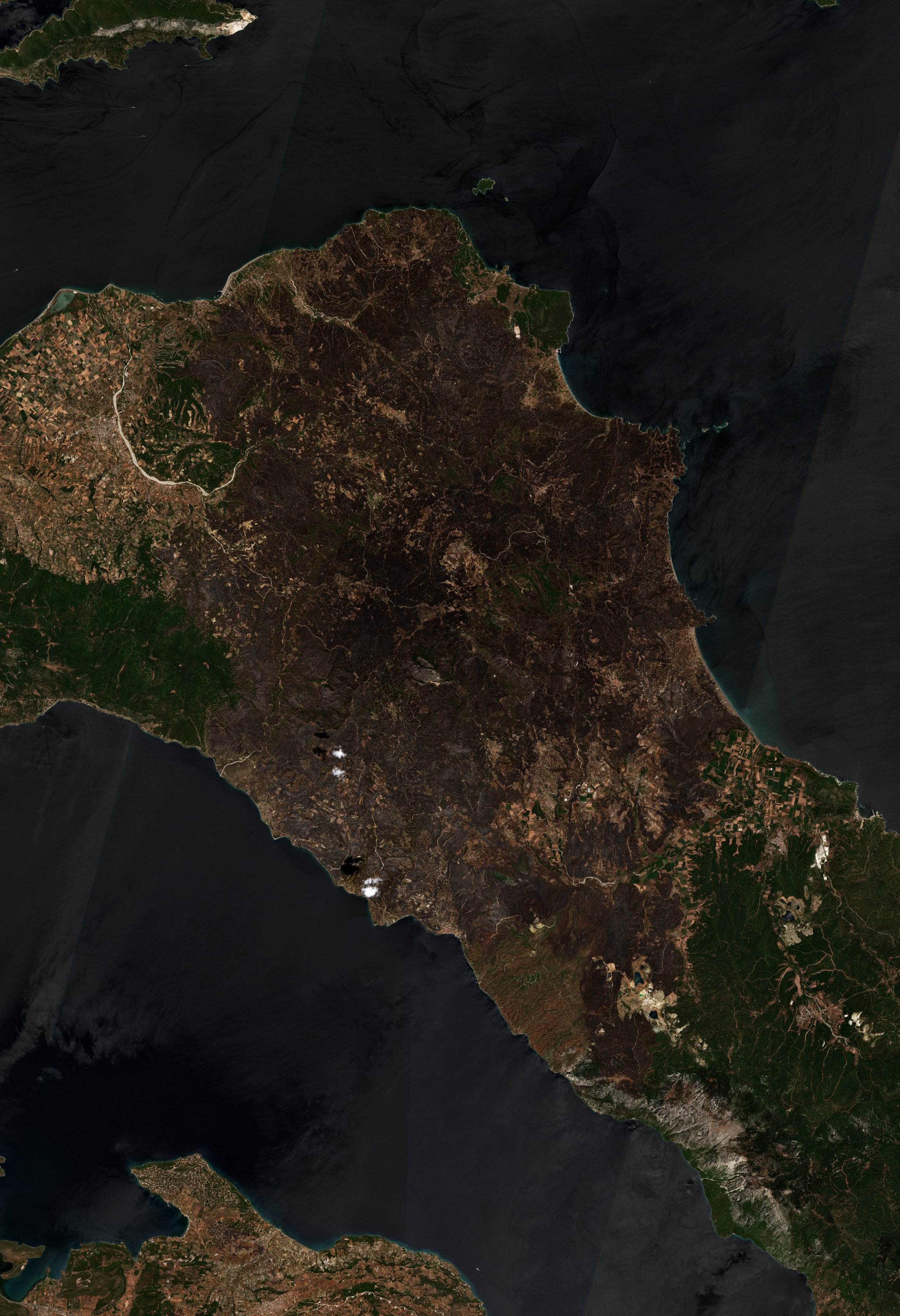 The area after the fire, August 16, 2021