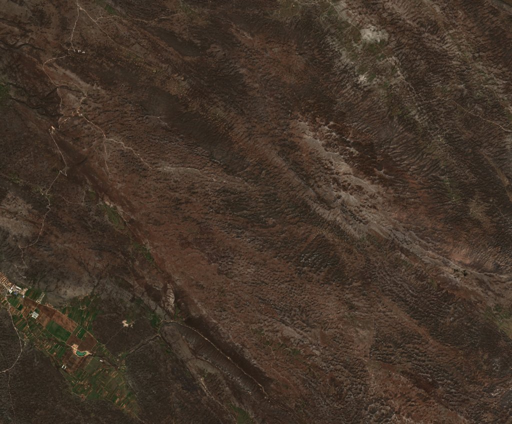 The area before the fire, March 20, 2020