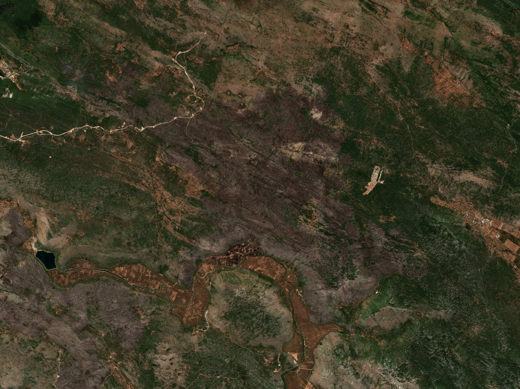 The area after the fire, August 12, 2021