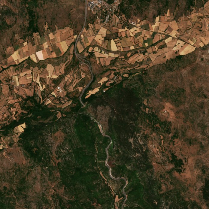 Sentinel-2 images