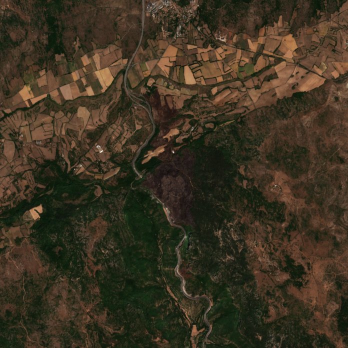 The area after the fire, August 19, 2026