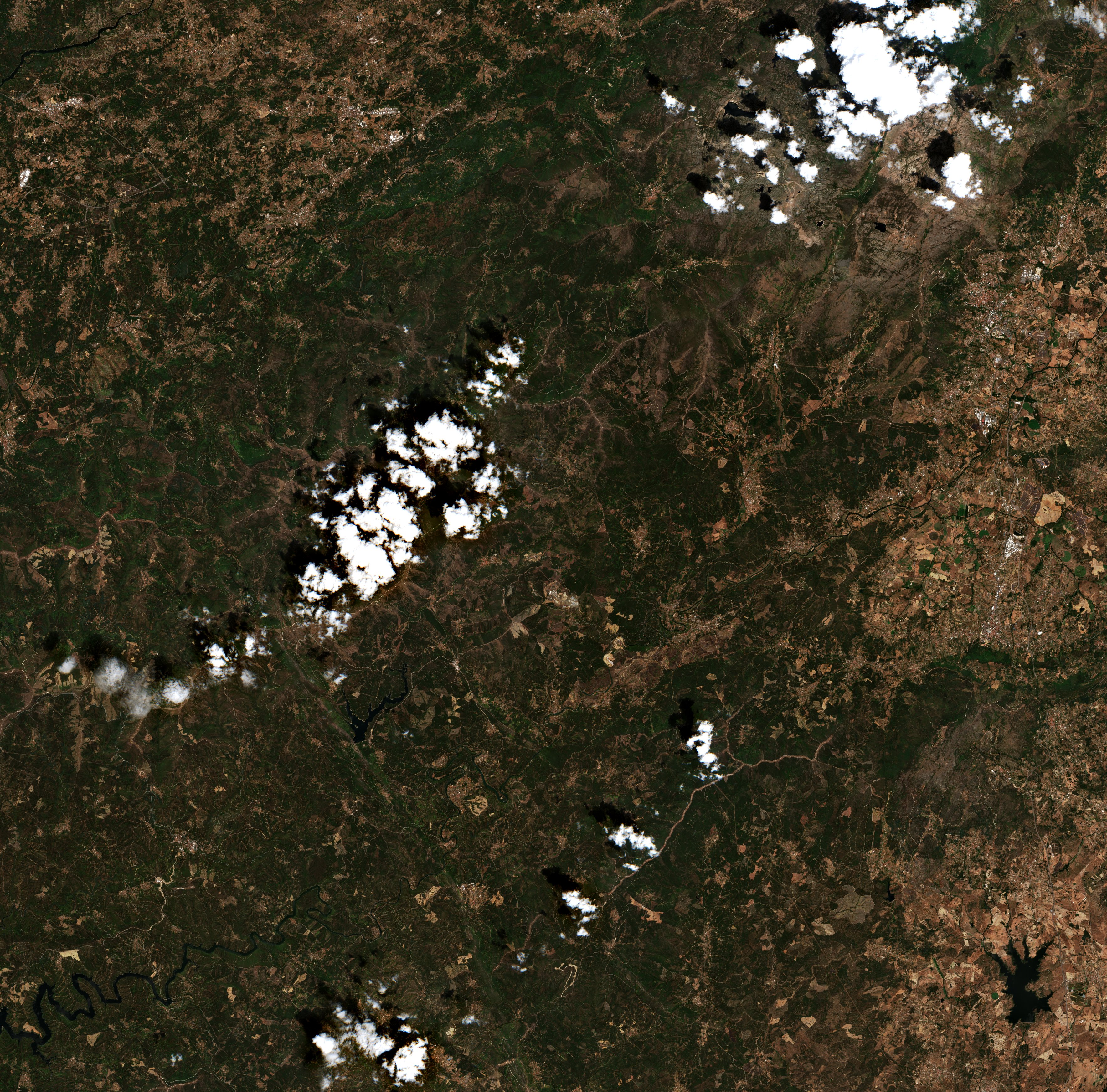 Sentinel-2 images