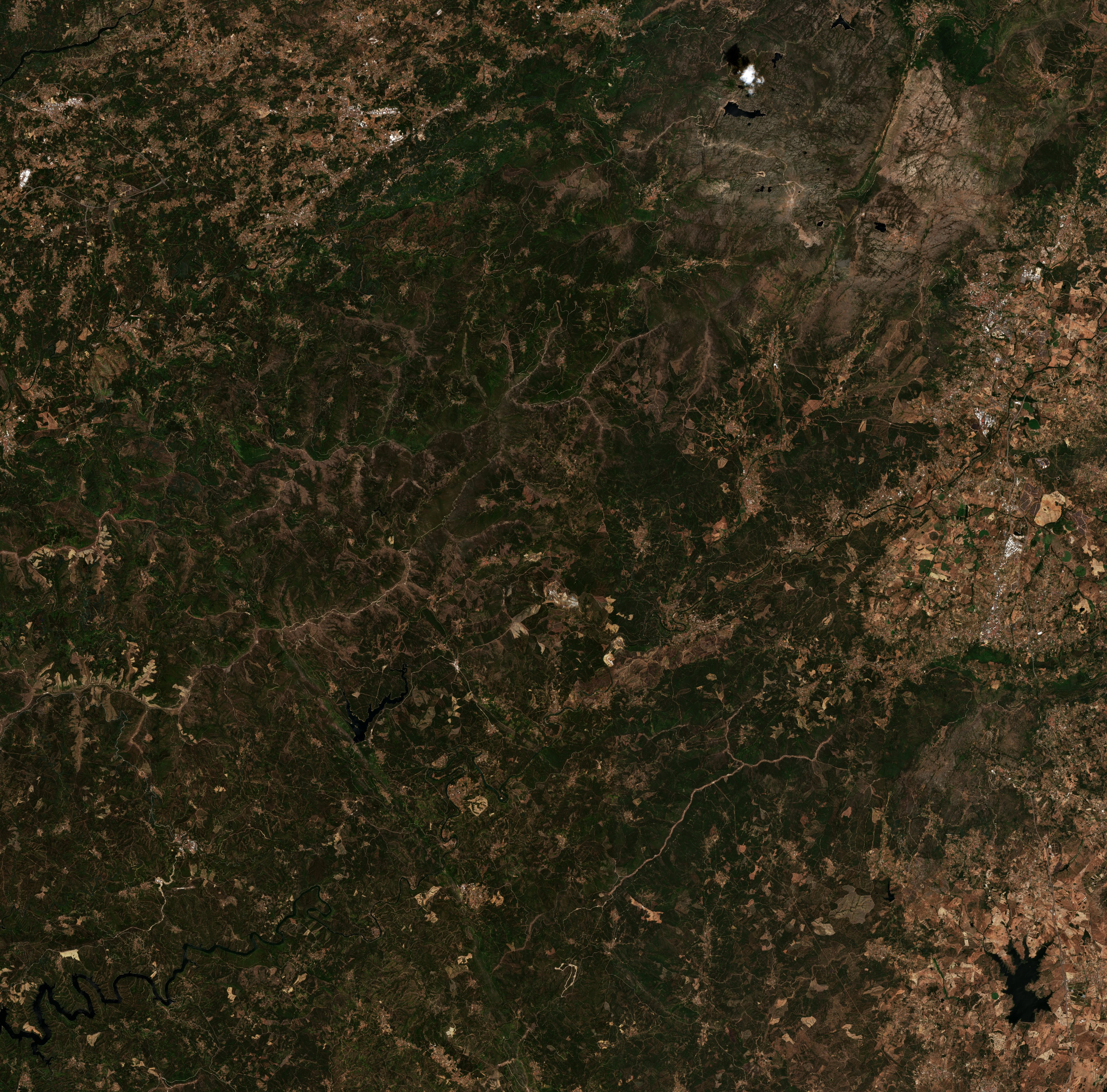 The area before the fire, August 3, 2025