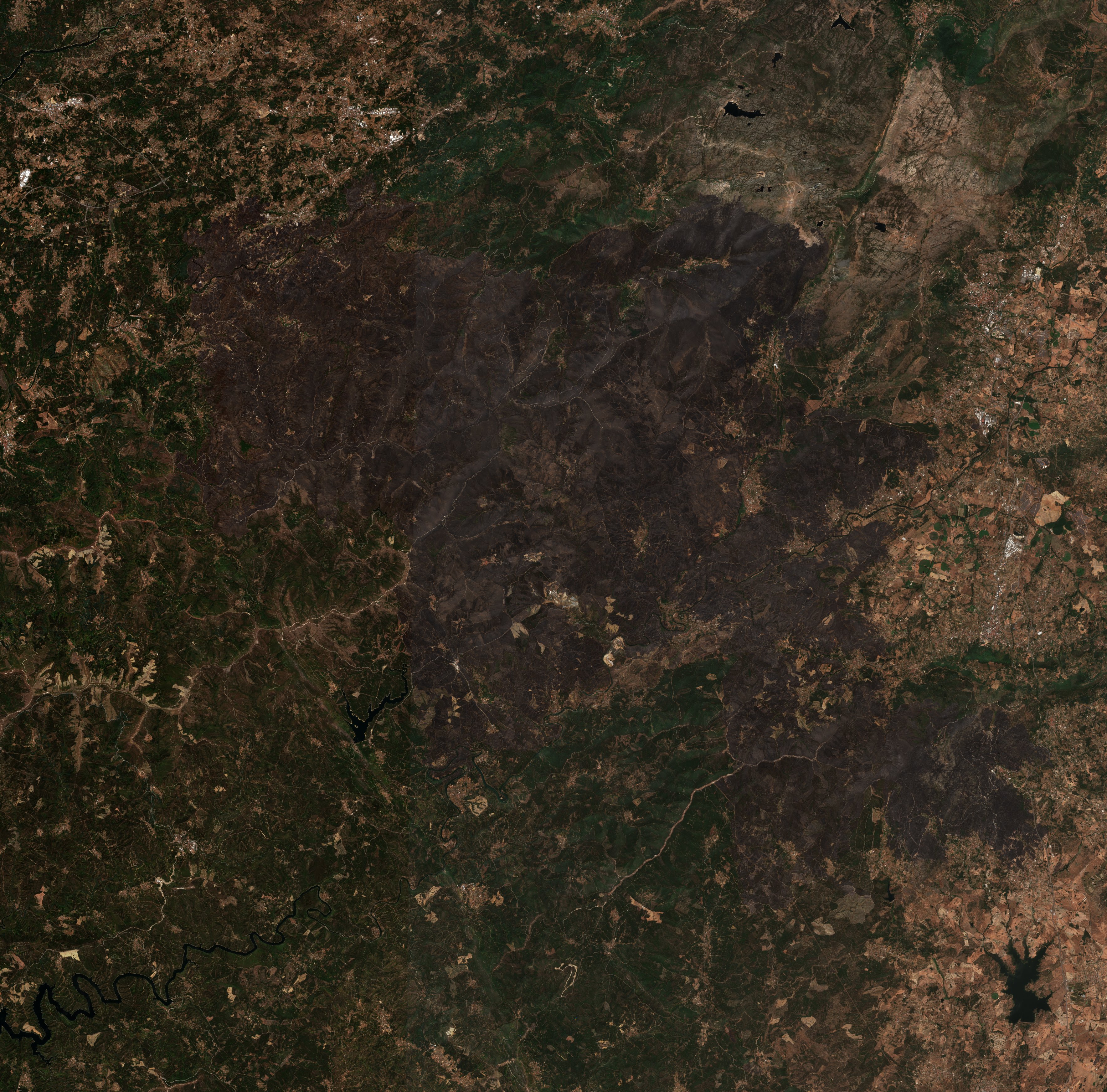 The area after the fire, August 26, 2025