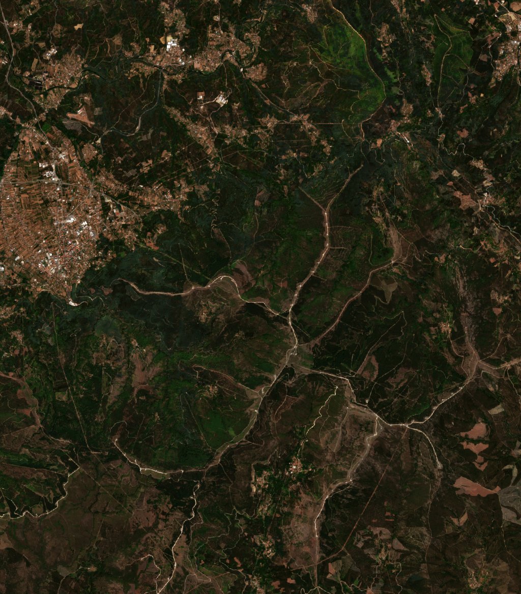 The area before the fire, August 3, 2025