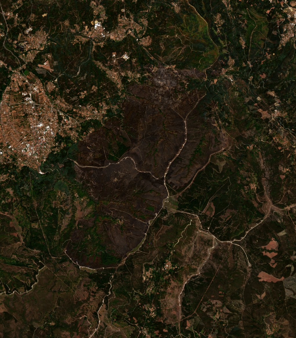 The area after the fire, August 21, 2025