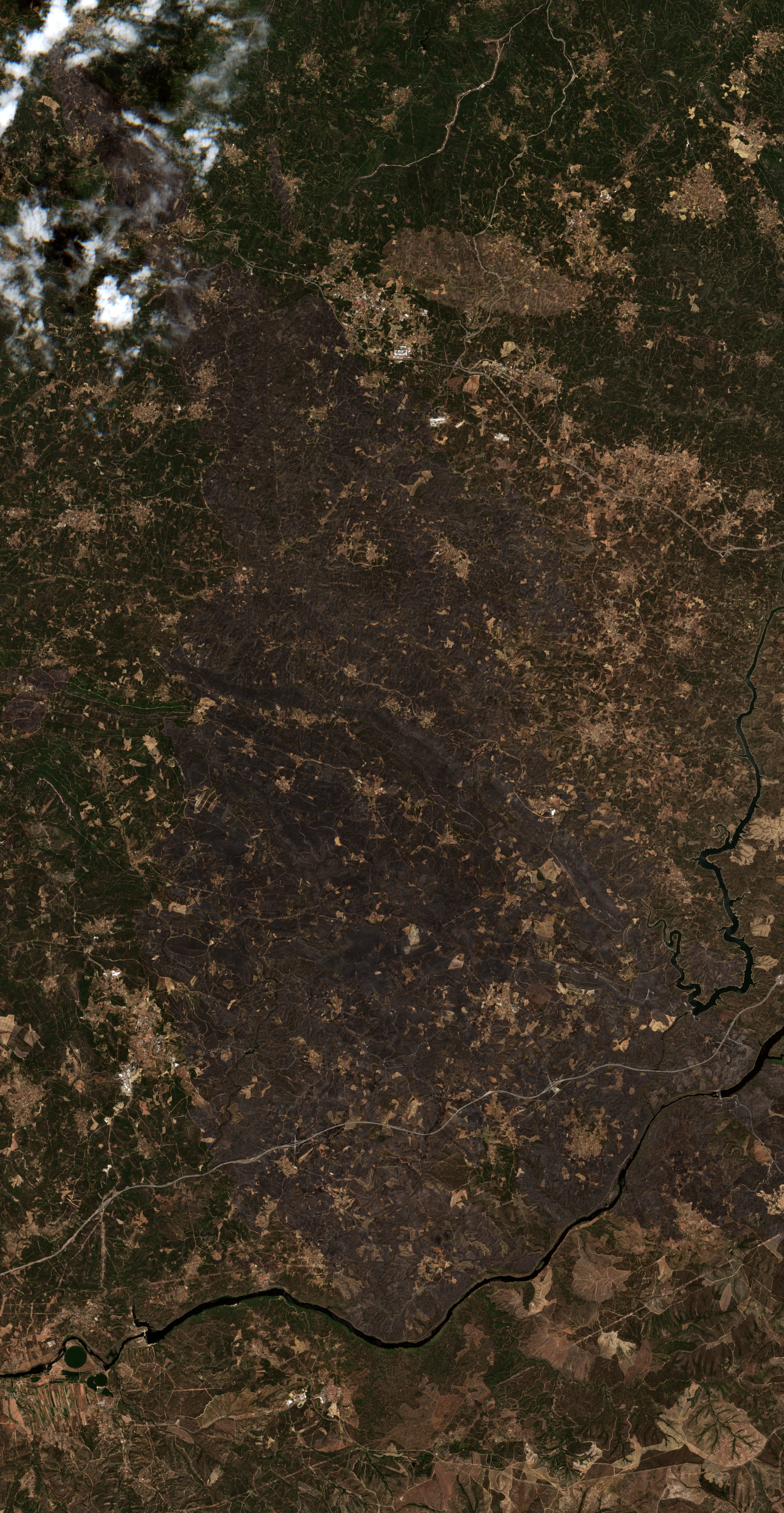 The area after the fire, July 29, 2017